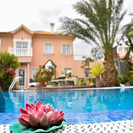 公寓 With Shared Heated Pool *